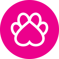 pets-of-norway-as-Nettbutikk for hunder og katter